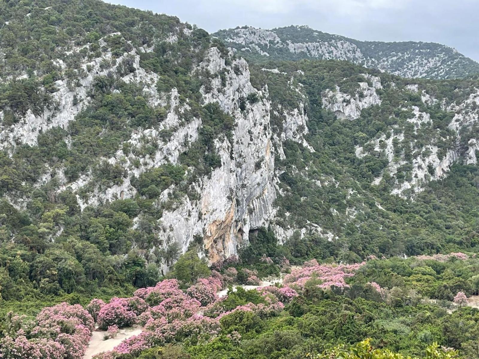 Sa Troppa De Sos Chentu Hotell Dorgali Exteriör bild