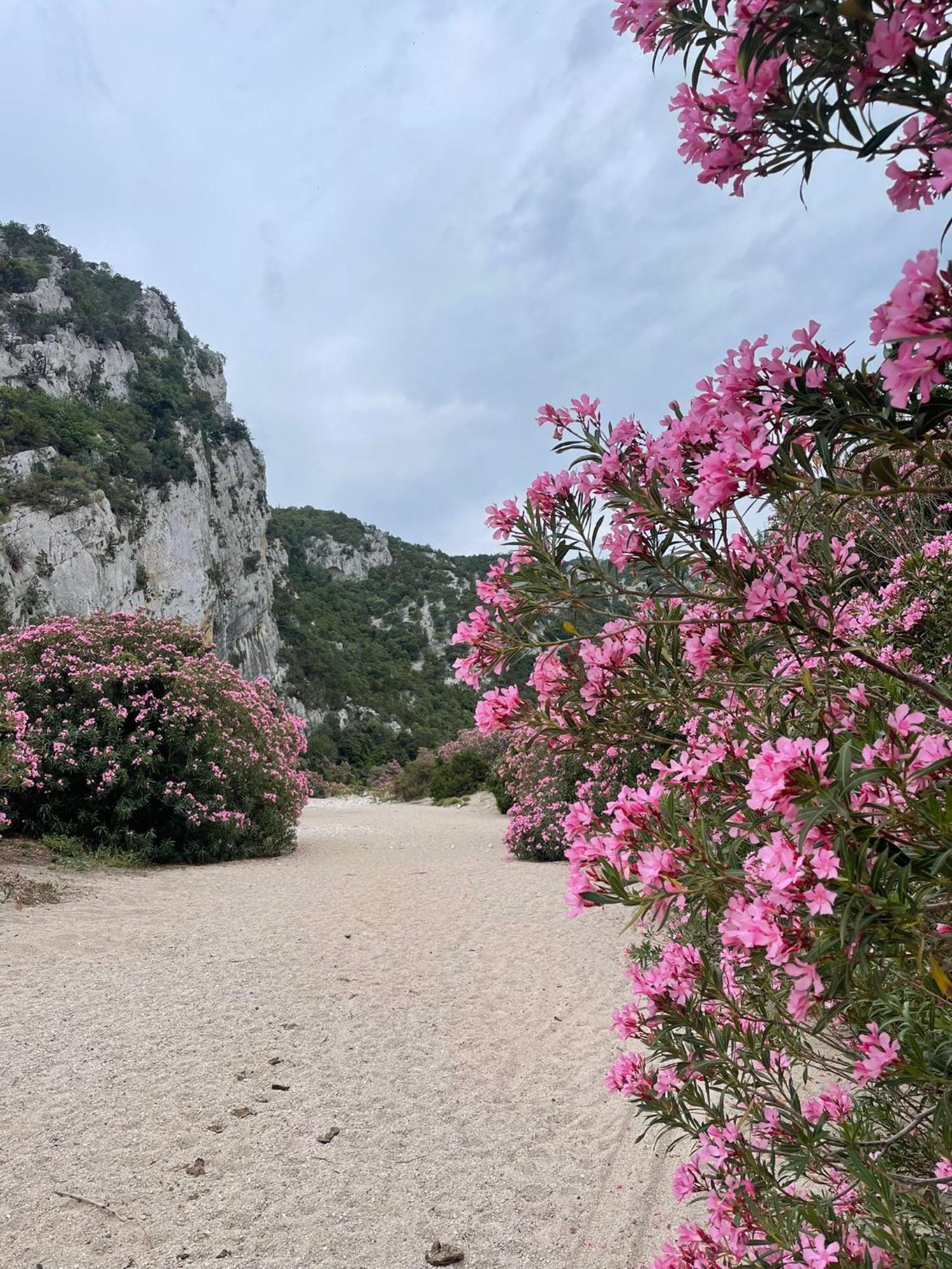 Sa Troppa De Sos Chentu Hotell Dorgali Exteriör bild